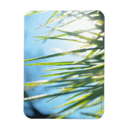 Zonnebrandblusbladen Magneet