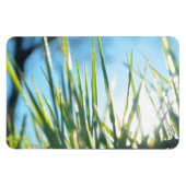 Zonnebrandblusbladen Magneet (Horizontaal)