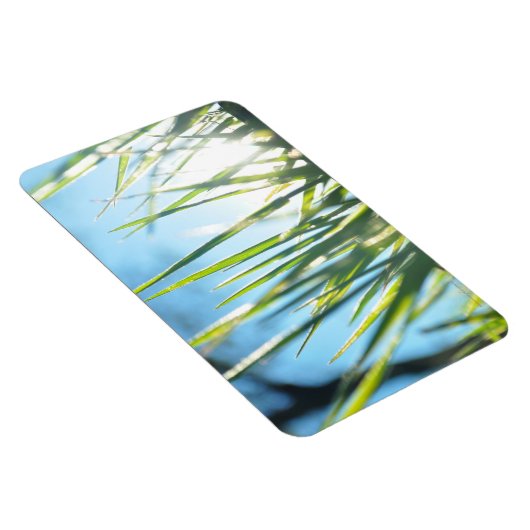 Zonnebrandblusbladen Magneet (Rechterzijde)