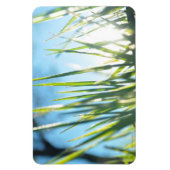 Zonnebrandblusbladen Magneet (Verticaal)