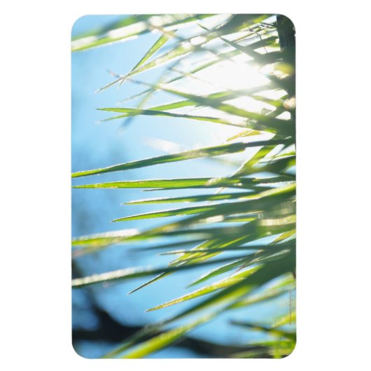 Zonnebrandblusbladen Magneet (Verticaal)