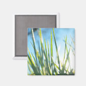 Zonnebrandblusbladen Magneet (Voorkant / Achterkant)