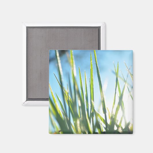 Zonnebrandblusbladen Magneet (Voorkant / Achterkant)