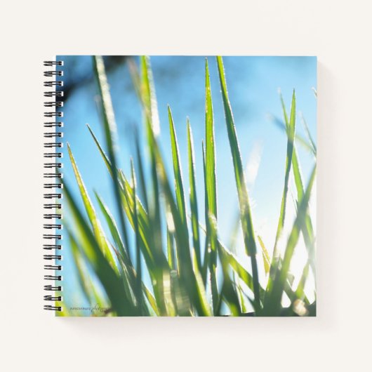 Zonnebrandblusbladen Notitieboek (Voorkant)