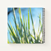 Zonnebrandblusbladen Notitieboek (Achterkant)