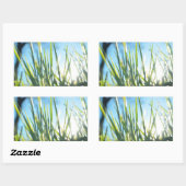 Zonnebrandblusbladen Rechthoekige Sticker (Vel)