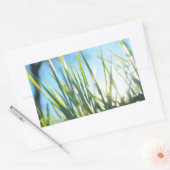 Zonnebrandblusbladen Rechthoekige Sticker (Envelop)