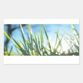 Zonnebrandblusbladen Rechthoekige Sticker