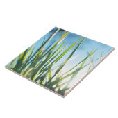 Zonnebrandblusbladen Tegeltje (Zijkant)