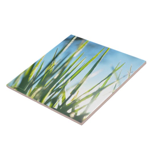 Zonnebrandblusbladen Tegeltje (Zijkant)