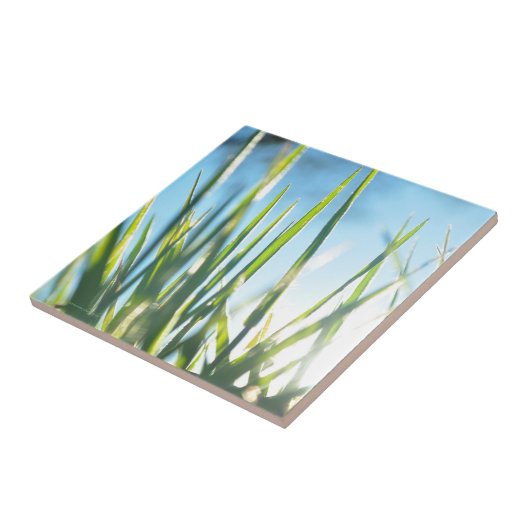 Zonnebrandblusbladen Tegeltje (Zijkant)