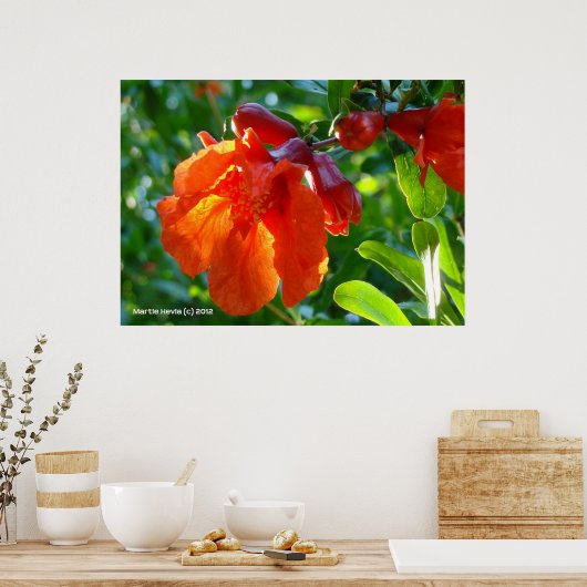 Zonnebrandbluspomegranaat Poster (Keuken)