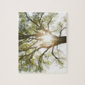 Zonnebrandboom Legpuzzel (Verticaal)