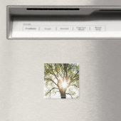 Zonnebrandboom Magneet (Insitu (Vaatwasser))