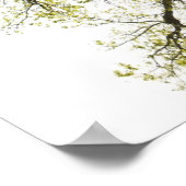 Zonnebrandboom Poster (Hoek)