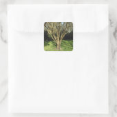 Zonnebrandboom Vierkante Sticker (Tas)
