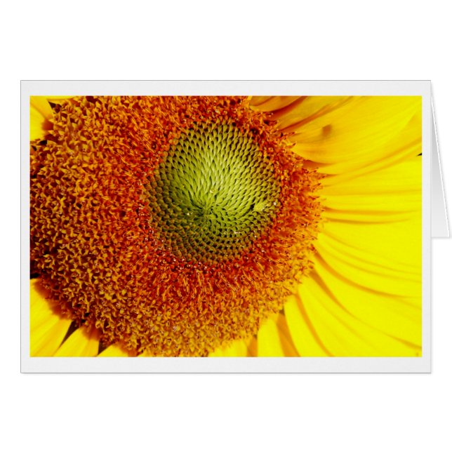 Zonnebrandcentrum (Voorkant Horizontaal)