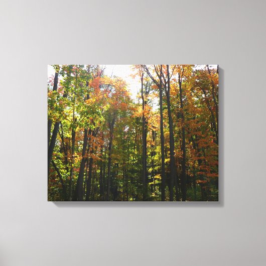 Zonnebrandend Herfst in het najaar Canvas Afdruk (Voorkant)