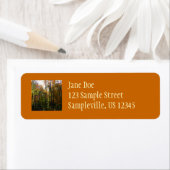 Zonnebrandend Herfst in het najaar Etiket (Insitu)