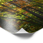 Zonnebrandend Herfst in het najaar Foto Afdruk (Hoek)