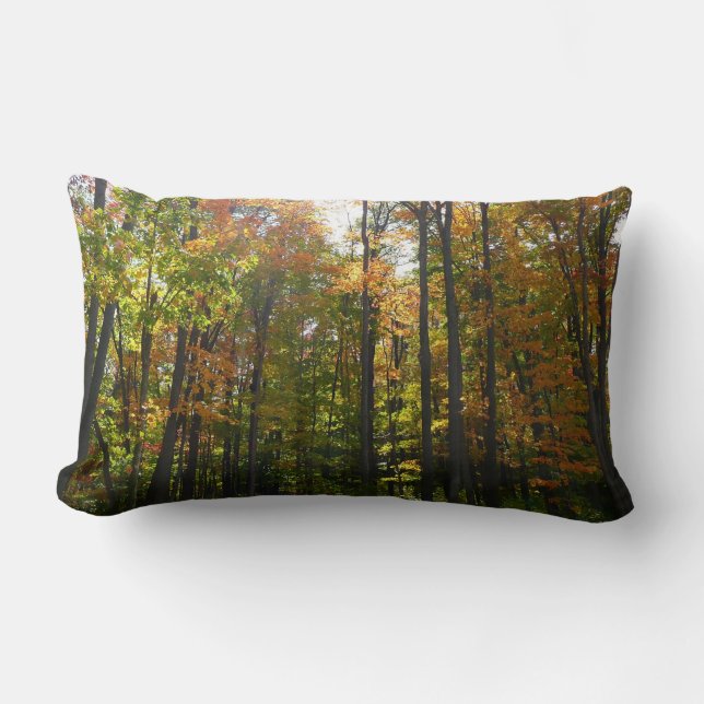 Zonnebrandend Herfst in het najaar Kussen (Voorkant)