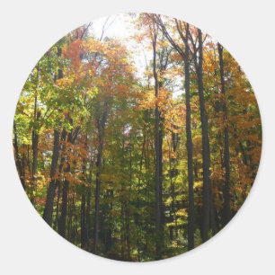 Zonnebrandend Herfst in het najaar Ronde Sticker