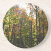 Zonnebrandend Herfst in het najaar Zandsteen Onderzetter (Voorkant)