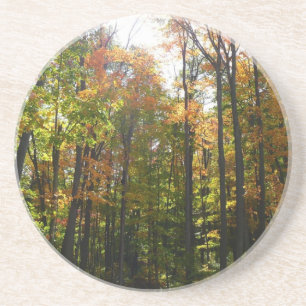 Zonnebrandend Herfst in het najaar Zandsteen Onderzetter