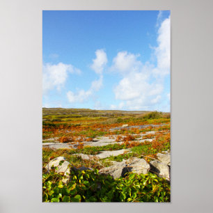 Zonnebrandend Uitzicht Poster