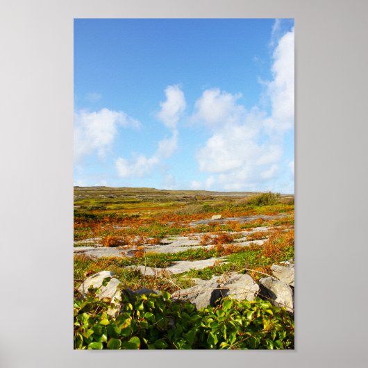 Zonnebrandend Uitzicht Poster (Voorkant)