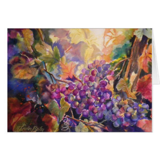 Zonnebrandende druiven die de Originele Blanco Kaa