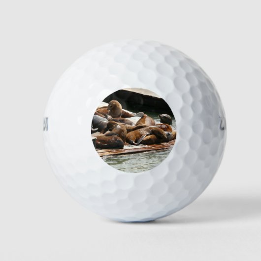 Zonnebranderige Zeeen in San Francisco Golfballen (Voorkant)