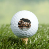 Zonnebranderige Zeeen in San Francisco Golfballen (Insitu Shirt)