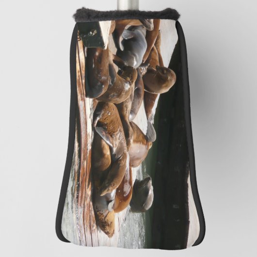 Zonnebranderige Zeeen in San Francisco Golfheadcover (Draai 90)