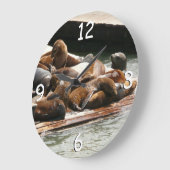 Zonnebranderige Zeeen in San Francisco Grote Klok (Hoek)