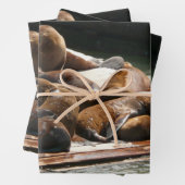 Zonnebranderige Zeeen in San Francisco Inpakpapier Vel (In situ)