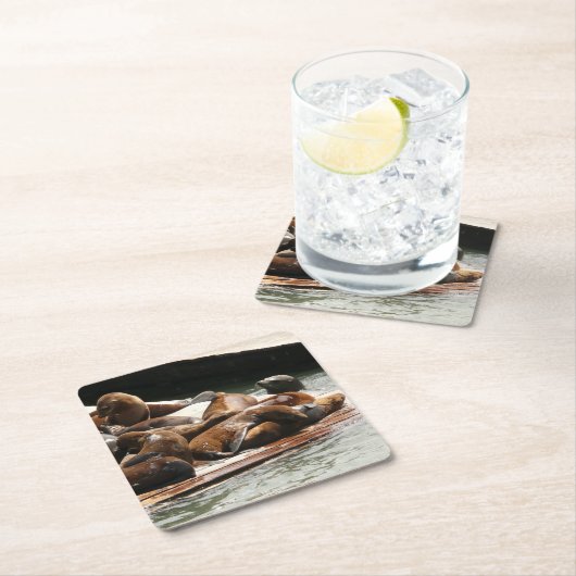 Zonnebranderige Zeeen in San Francisco Kartonnen Onderzetters (Insitu)