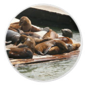 Zonnebranderige Zeeen in San Francisco Keramische Knop (Voorkant)