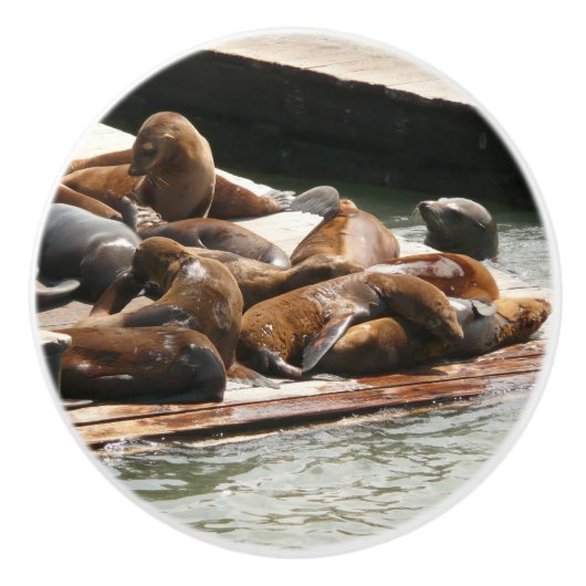 Zonnebranderige Zeeen in San Francisco Keramische Knop (Voorkant)