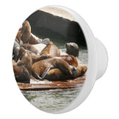 Zonnebranderige Zeeen in San Francisco Keramische Knop (Rechts)