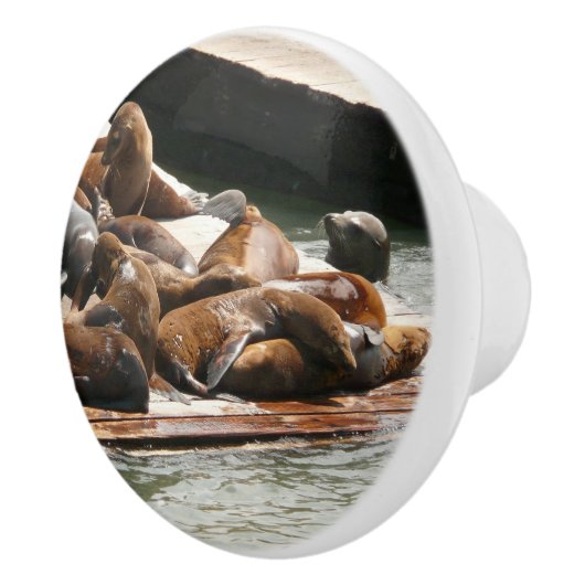 Zonnebranderige Zeeen in San Francisco Keramische Knop (Rechts)