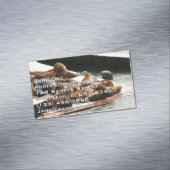 Zonnebranderige Zeeen in San Francisco Magnetisch Visitekaartje (Voorbeeld)