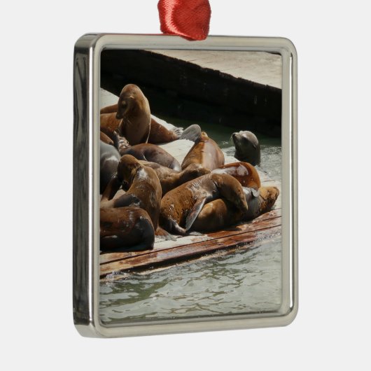 Zonnebranderige Zeeen in San Francisco Metalen Ornament (Rechts)