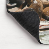 Zonnebranderige Zeeen in San Francisco Muismat (Hoek)