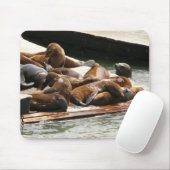 Zonnebranderige Zeeen in San Francisco Muismat (Met muis)