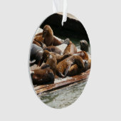 Zonnebranderige Zeeen in San Francisco Ornament (voorkant)