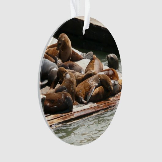 Zonnebranderige Zeeen in San Francisco Ornament (voorkant)