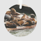 Zonnebranderige Zeeen in San Francisco Ornament (achterkant)