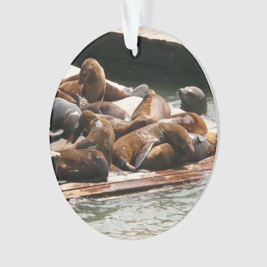 Zonnebranderige Zeeen in San Francisco Ornament (voorkant)