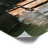 Zonnebranderige Zeeen in San Francisco Poster (Hoek)